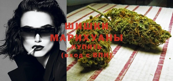 мдпв Новодвинск