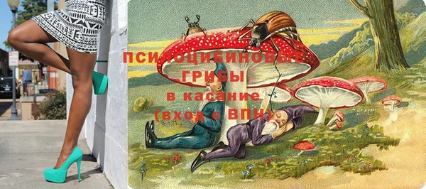 ГАЛЛЮЦИНОГЕННЫЕ ГРИБЫ Алексеевка